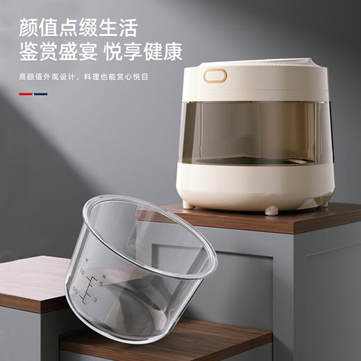 迈卡罗可视玻璃胆电饭煲MC-FB306 商品图3