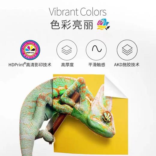 亚太森博 蓝百旺 复印纸 打印纸 A4 A3 80g 500张/包 5包/箱 高档合同标书图片A4纸 商品图3