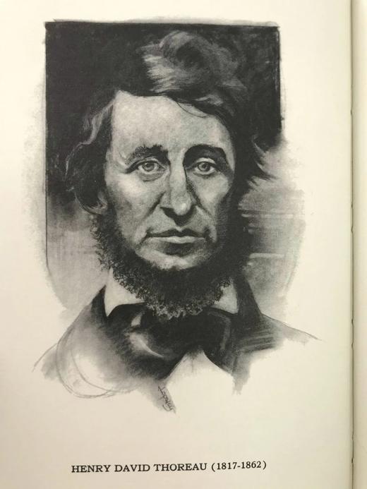 梭罗《瓦尔登湖》 托马斯·纳森木版画插图 豪华皮装32开 商品图2