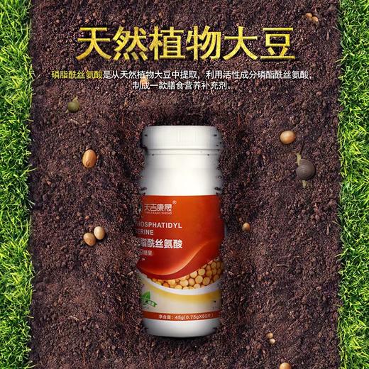 天吉康晟 PS磷脂酰丝氨酸 45g（0.75g×60片） 商品图1