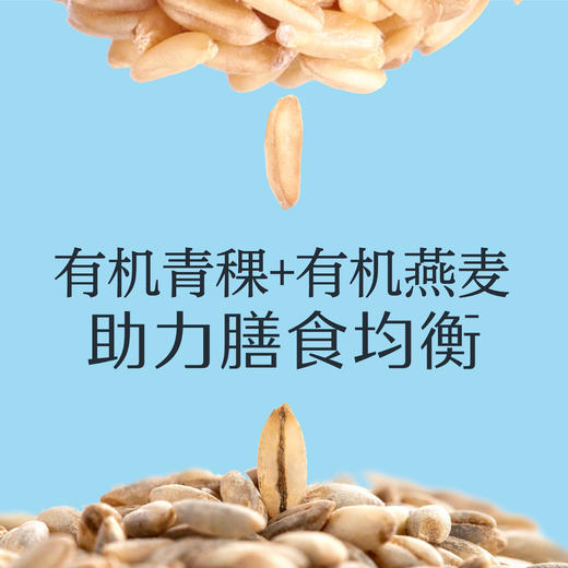 【有机青稞燕麦奶】 选用有机种植的原料  配料表干净 商品图1