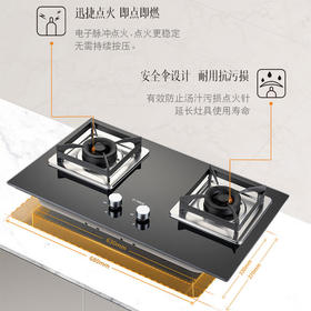 方太（FOTILE）家用燃气灶 4.6W劲猛火力 双灶眼 一级能效 换灶更省心JZT-TH12B 天然气