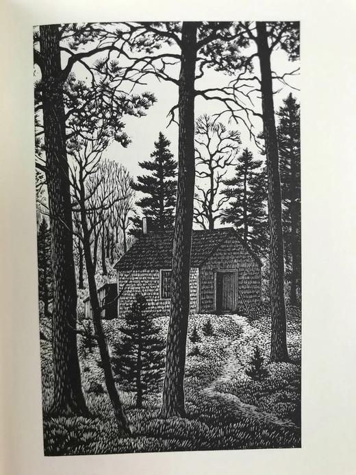 梭罗《瓦尔登湖》 托马斯·纳森木版画插图 豪华皮装32开 商品图5