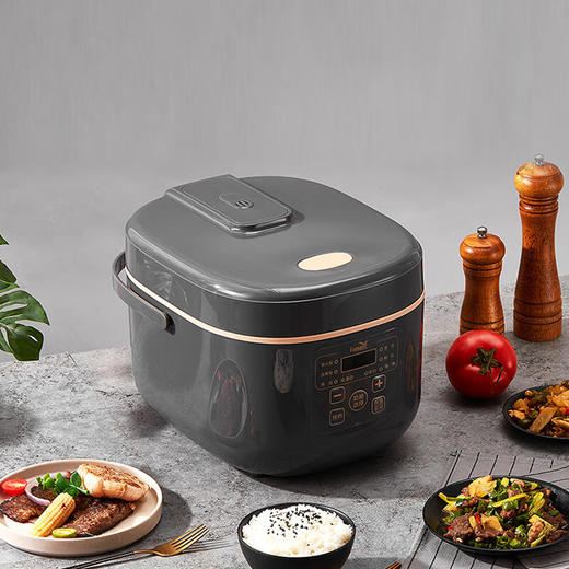新飞FTFB-R123智能电饭煲4L灰色 商品图1