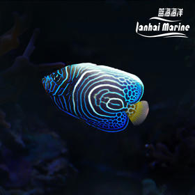 马代圈帝