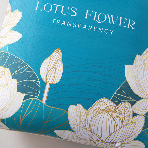 芳恩 炫彩数码印花抱枕被 商品图9