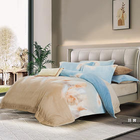 鑫缘 艾能暖绒印花四件套 DXC9418 -DXC9420