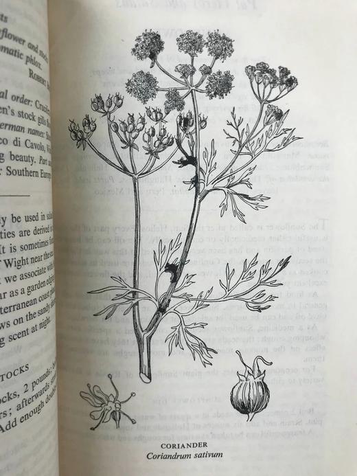 1947年 草药美食 数十幅插图 精装大32开 商品图9