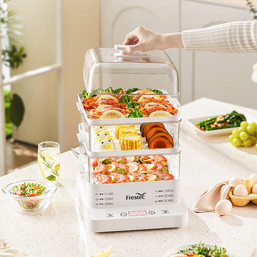 新飞蒸香宝多功能电蒸锅18L白色 商品图1