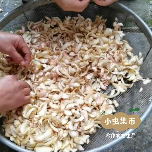 瑶山野生百合干 250g/袋| 合作农友生产，来自广东连南瑶族自治县，生产者：张运东 ＆【公平贸易农人定价】 商品图9