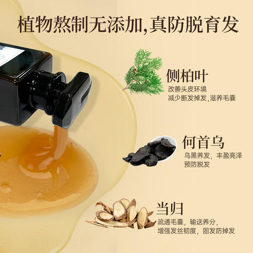 【熬夜党救星，国妆特字防脱洗发露】 正品侧柏叶何首乌当归草本育发防脱洗发水，植物熬制深度滋养稳固发根，止痒控油蓬松洗头水 商品图2