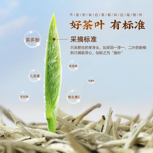 云南正品白豪银针特级金奖老树单芽月光白茶明前新茶礼盒装 CM 商品图3