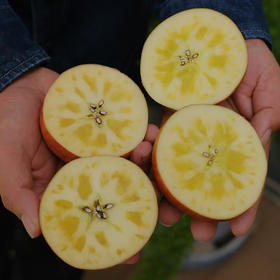 【高原太阳斑糖心苹果 】脆甜多汁 果味浓郁/生态种植不套袋不打蜡 糖心率80% 现摘现发 顺丰包邮