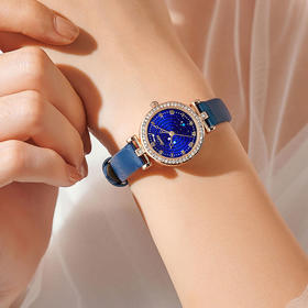 SUNKTA 轻奢英伦风简约镶钻石英表ST6714