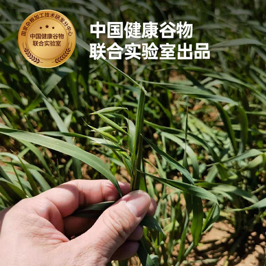 【节日礼盒】好麦多 国燕一号有机燕麦片（限供版）1050g 商品图2