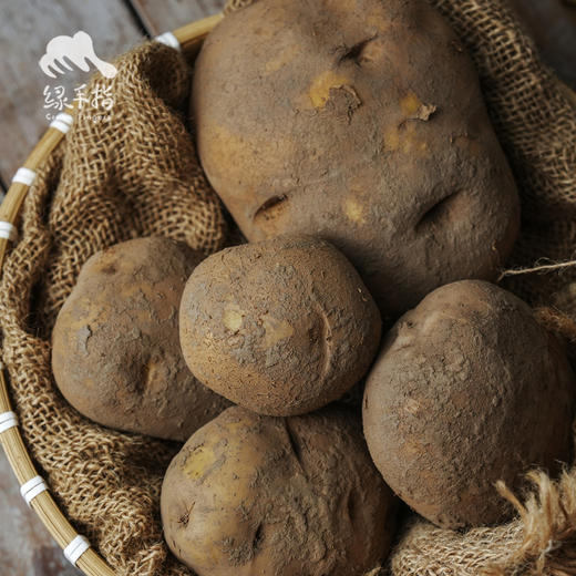 生态高原土豆（中通快递） | 合作生产*Ecological plateau potato| Partner Production 商品图4