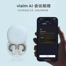 科大讯飞  录音降噪会议耳机iFLYBUDS Nano