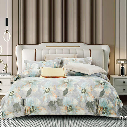 鑫缘 艾能暖绒印花四件套 DXC9418 -DXC9420 商品图1