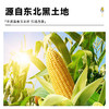 东北 玉米淀粉 500g/袋 商品缩略图2