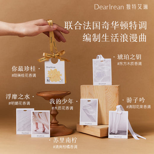 【U先试用】DearIrean 独特艾琳香氛尝鲜体验衣柜香卡车载香薰卡香卡随行套组*8张（随机发7种不同香型） 商品图2