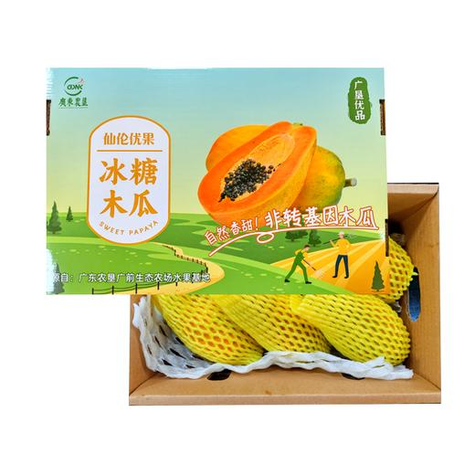 L仙伦优果非转基因木瓜5斤装4~6个果(三天内现采现发) 商品图1