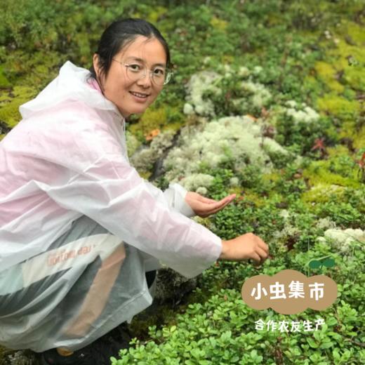 大兴安岭生态花腰豆 350g/袋 | 合作农友生产，产自黑龙江大兴安岭，生产者：柳树 &【公平贸易农人定价】 商品图9