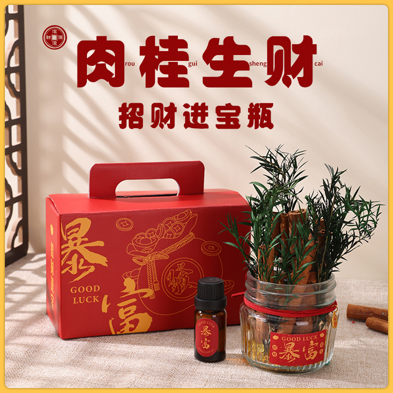 【DIY肉桂生财瓶】香薰摆件手工套装 香薰摆件发财玻璃瓶装饰客厅位生日礼物