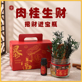 【DIY肉桂生财瓶】香薰摆件手工套装 香薰摆件发财玻璃瓶装饰客厅位生日礼物