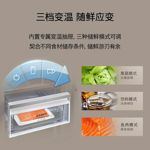 西门子（SIEMENS）【60cm超薄平嵌玻璃门】512升对开门变频无界电冰箱家用双开门大容量 抗菌净味 变温储鲜室 KA92EA220C 商品图1