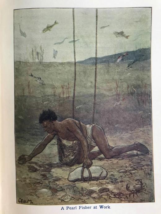 约20世纪早期 宝宝地理志 20幅彩色插图 漆布精装18开 商品图14