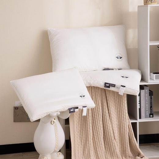 【多喜爱】枕芯--罗斯特轻音生态舒适枕（高/中/低） 商品图1