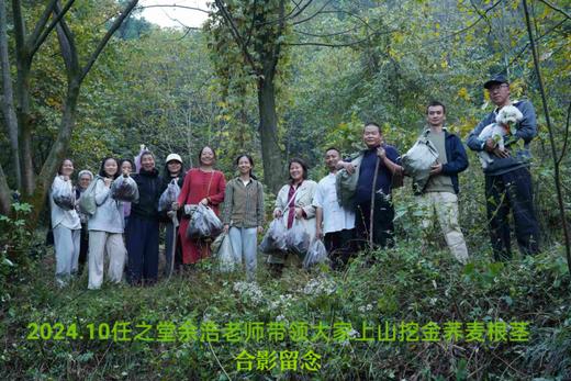 【金荞麦干片一公斤】 商品图4