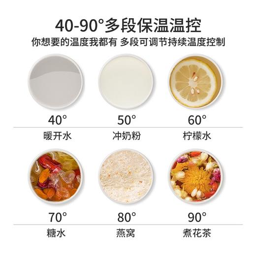 膳魔师 多功能1.8L养生壶EHA-1316E 商品图3