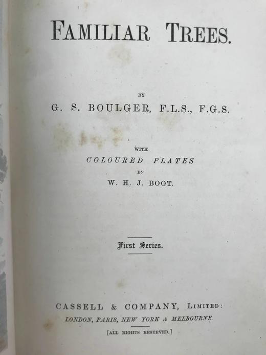 约1900年左右 常见树木图集 数十幅彩色版画插图 漆布精装32开 商品图3