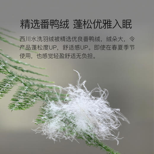 西川羽绒空调被（番鸭绒70绒） 商品图4