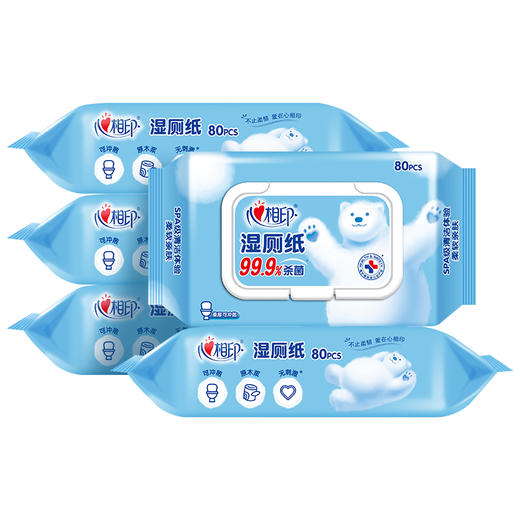 心相印 湿厕纸系列80片装湿巾5包组合装XCY080+P2 商品图0
