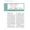 正版全新 无托槽隐形矫治技术 颌面系统矫正 生物力学机制诊断以及治疗设计 谢贤聚 张宁 译 9787559138255辽宁科学技术出版社 商品缩略图3