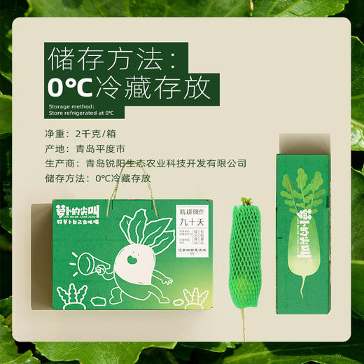 CCTV常驻嘉宾！【萝卜的尖叫】好萝卜自己会吆喝 ！平均糖度近10度 口感鲜嫩 甘甜回味 爽脆迷人 除部分偏远地区全国包邮 商品图14