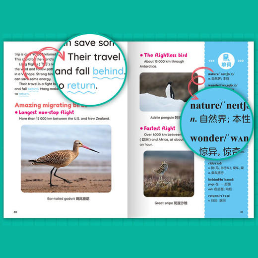 《跟21世纪英文报读时文学单词》（全6册） 商品图8