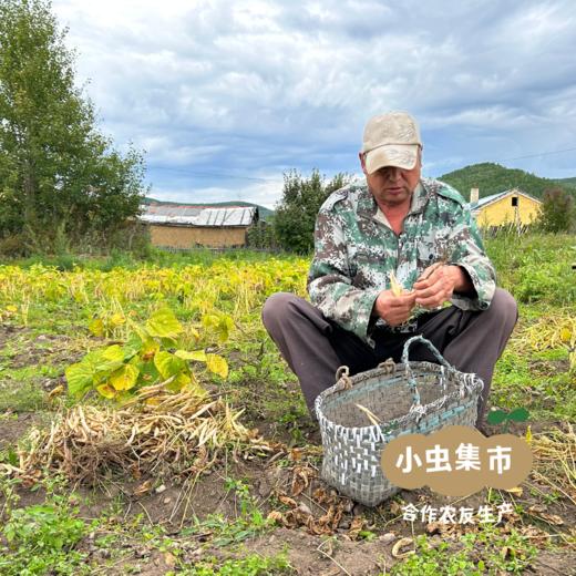 大兴安岭生态白花芸豆 350g /袋 | 合作农友生产，产自大兴安岭古源，生产者：柳树 & [公平贸易农人定价] 商品图5