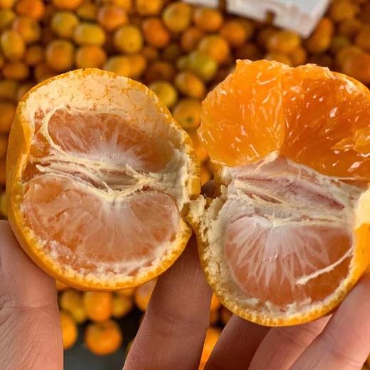 [最农公社]镇店之宝|特级品控浙江涌泉蜜橘5斤18-24枚/10斤36-48枚全部稀有高山6.0-7.5cm果径（顺丰发货） 商品图5