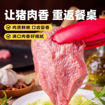 京东跑山猪黑猪里脊肉冷冻猪通脊炒菜肉馅食材1.2斤 商品图0