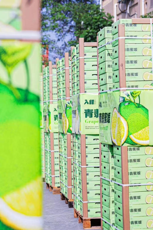 入甜®青翡蜜媛、秋季限定青蜜柚，
现场测糖14➕、甜度爆表！果汁充盈 果粒饱满 超级好吃 秋季吃柚 赛过吃肉～ 商品图9
