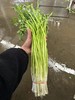 周二取货：【宜兴万石水芹】一捆1斤左右，有根带叶，茎白、叶清香，水分多，既可荤炒，又可素拌！ 商品缩略图4