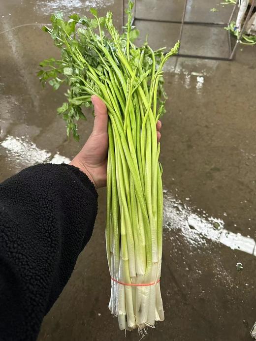 周二取货：【宜兴万石水芹】一捆1斤左右，有根带叶，茎白、叶清香，水分多，既可荤炒，又可素拌！ 商品图4