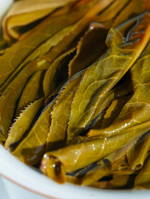 9月6日上午9点【限时秒杀】【卫东老寨】2022年头春头采布朗山卫东老寨普洱茶生茶357克/饼 拍5发6拍20发25 商品图6