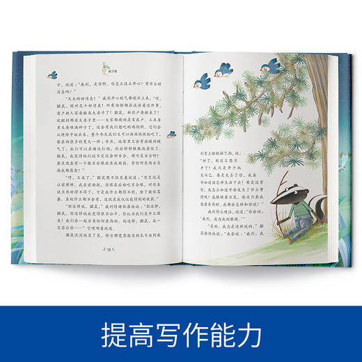 兔子坡 纽伯瑞儿童文学奖作品 6-12岁儿童读物小说 小学生课外阅读 商品图1