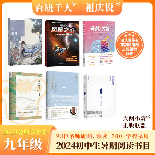 灰骏马 风暴之心 奇妙的大脑 审美力 长江小史 传奇如谜  2024年百班千人暑期书目9年级套装6本祖庆说名师推荐正版现货 商品图0