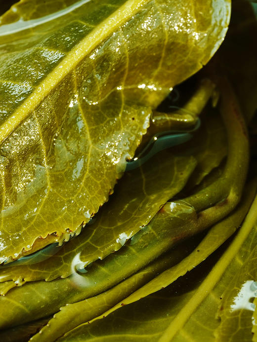 【王侯将相-虎威将军：赵云】2024年升级版傲世来袭 一芽一叶成就一片茶饼 比冰岛老寨单株更奢侈更豪华！一套内含6饼，拍5套发6套 商品图6