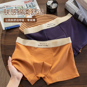 男士50支纯棉内裤男全棉5A抗菌中腰大码平角裤短裤男生裤衩批发